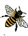Wasps, Hornets & Bees Control Icon
