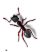 Ants Control Icon