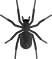 Spiders Control Icon