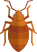 Wood Insects Control Icon