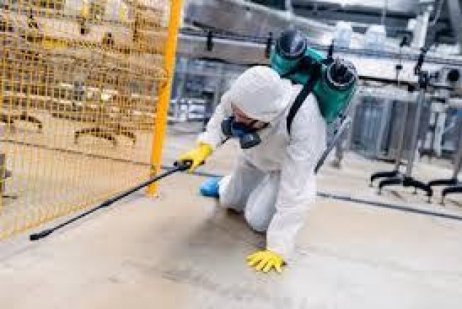 Best Pest Control in Wisconsin