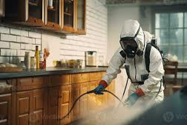 What Kinds of Pests Do Pest Control Services Treat