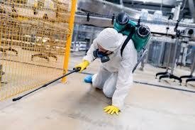Pest Control in Cedar Park TX