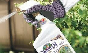 Natural Pest Control in California