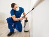Pest Control in Manchaca, TX