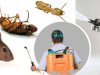 Pest Control in Liberty Lake WA