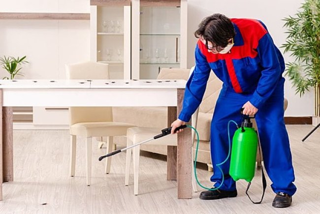 Pest Control in Houston, Texas