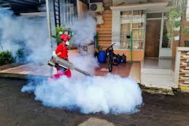 Pest Control in Towaco, NJ