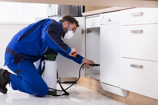 Pest Control in Franklin Lakes NJ 