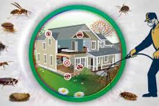 Pest Control Round Rock TX,