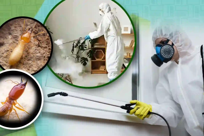 Pest Control Lockhart TX