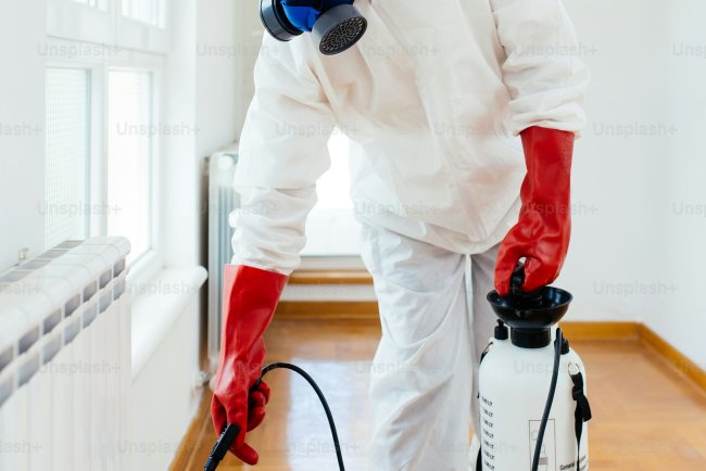 Pest Control in Crofton MD