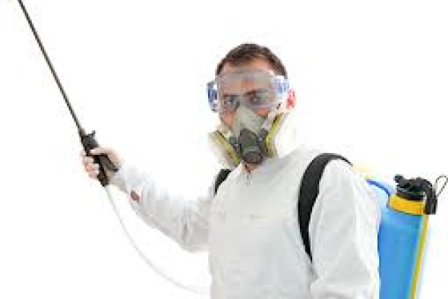 Pest Control in Latah WA