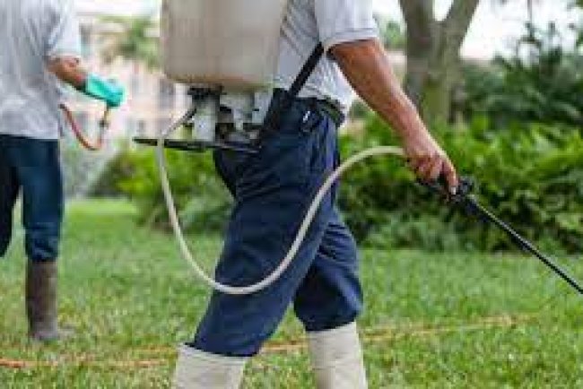 Pest Control in Dale TX