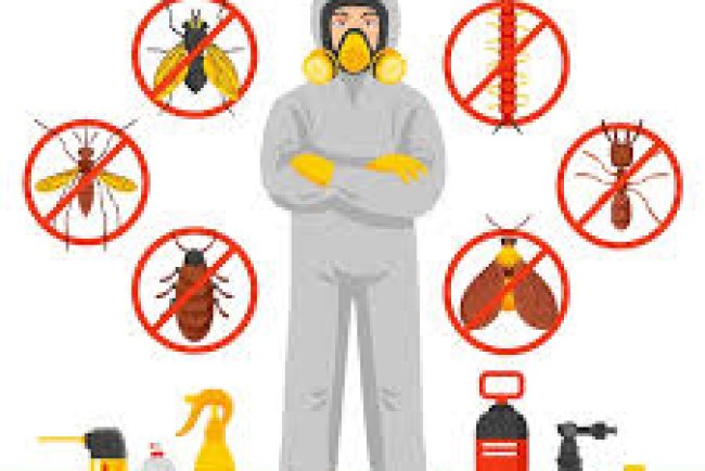Pest Control in Marshall WA
