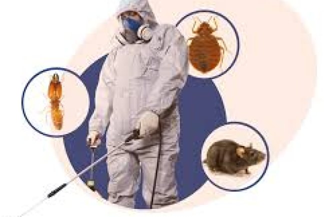 Pest Control in Caddo Mills, TX