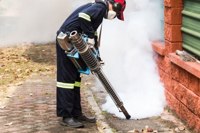 Pest Control Hutchins TX