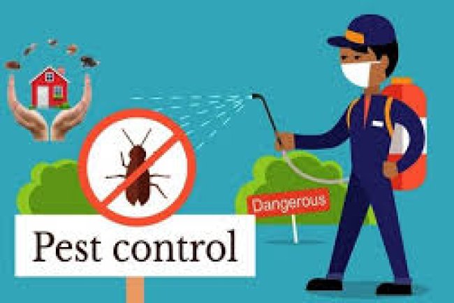 Pest Control Newman Lake WA