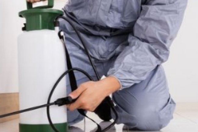 Pest Control in Joppa MD