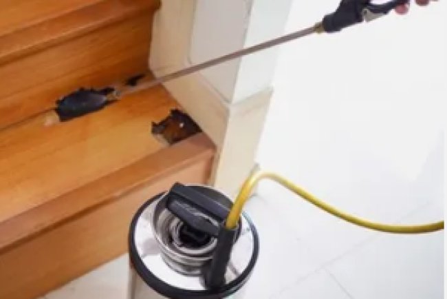 Pest Control in Jarrettsville MD