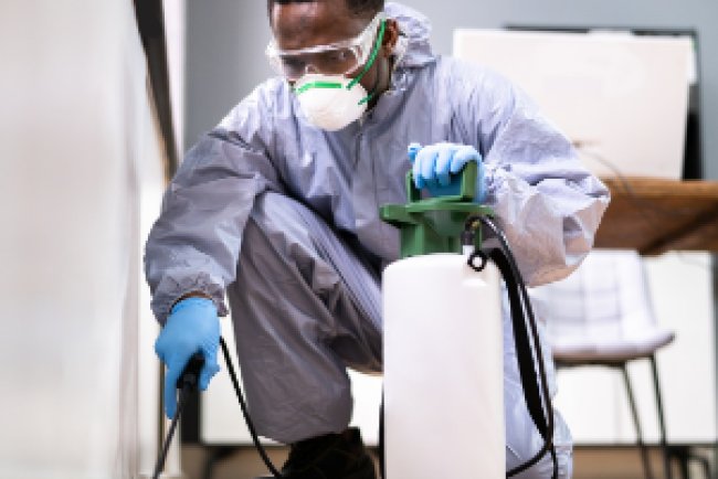 Pest Control Services in Ridgewood NJ