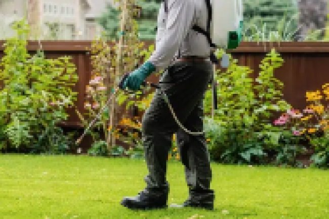 Pest Control in Pompton Lakes NJ