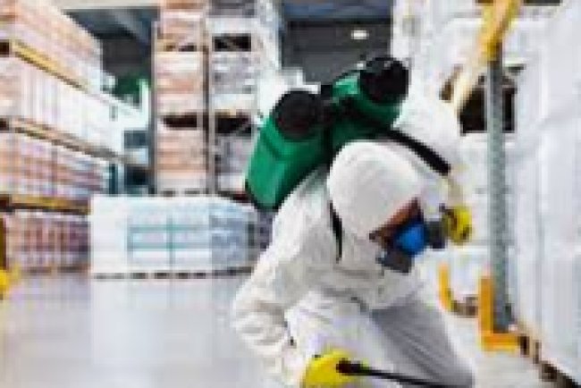 Best Pest Control in Commerce City