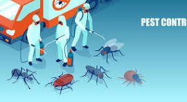 Pest Control in Phoenix, Arizona