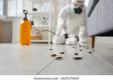 Pest Control in San Marcos, TX
