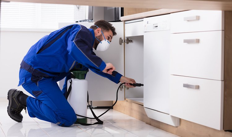 Pest Control in Franklin Lakes NJ 