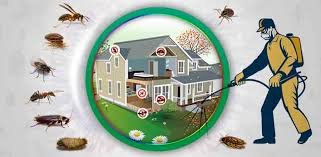 Pest Control Round Rock TX,