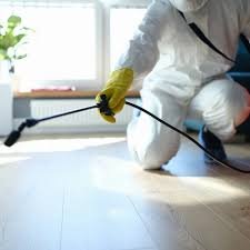 Pest Control in Irving, TX