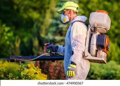 Pest Control in Odenton MD