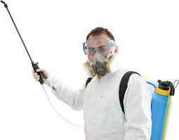 Pest Control in Latah WA