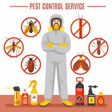 Pest Control in Hutto TX