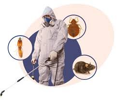 Pest Control in Caddo Mills, TX
