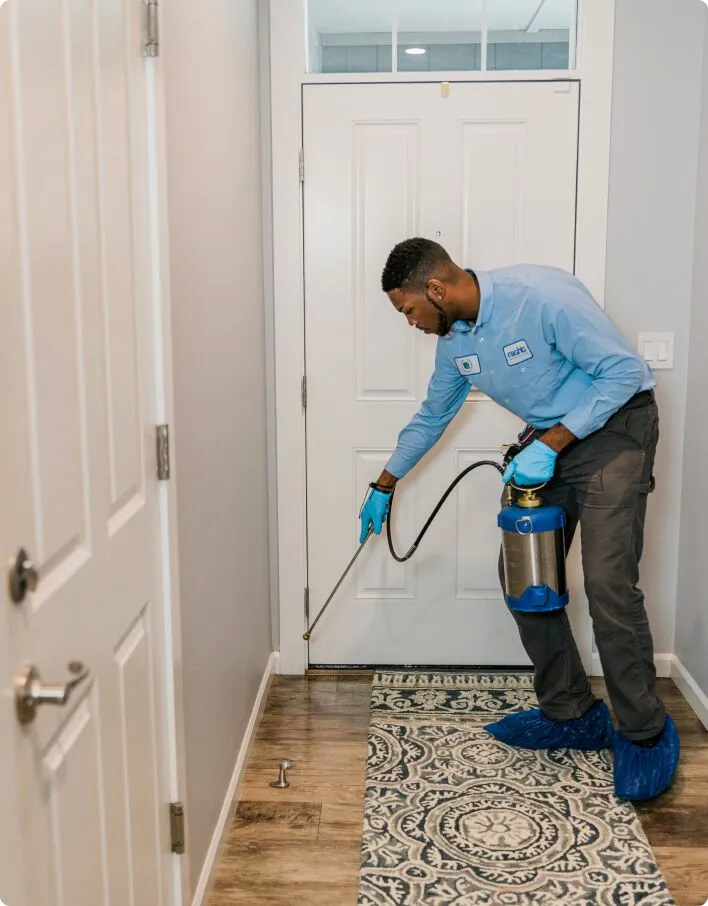 Pest Control Duncanville TX