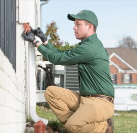 Pest Control in Pflugerville, TX