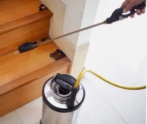 Pest Control Rowlett