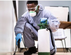 Pest Control Services in Ridgewood NJ