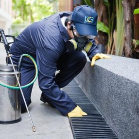 Pest control in Fair Lawn NJ