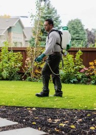 Pest Control in Pompton Lakes NJ