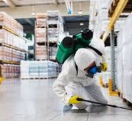 Best Pest Control in Commerce City