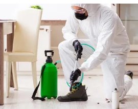 Best Pest Control in Edmonston