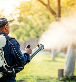 Best Pest Control in  Miami Lakes