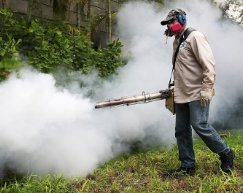 Best Pest Control in Hialeah