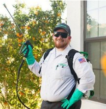 Best Pest Control in Arlington Heights