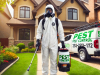 Pest Control in Glenview | Mosquito
