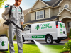 Pest Control in Williamson County | Squirrel