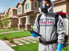 Pest Control in Henderson | Birds